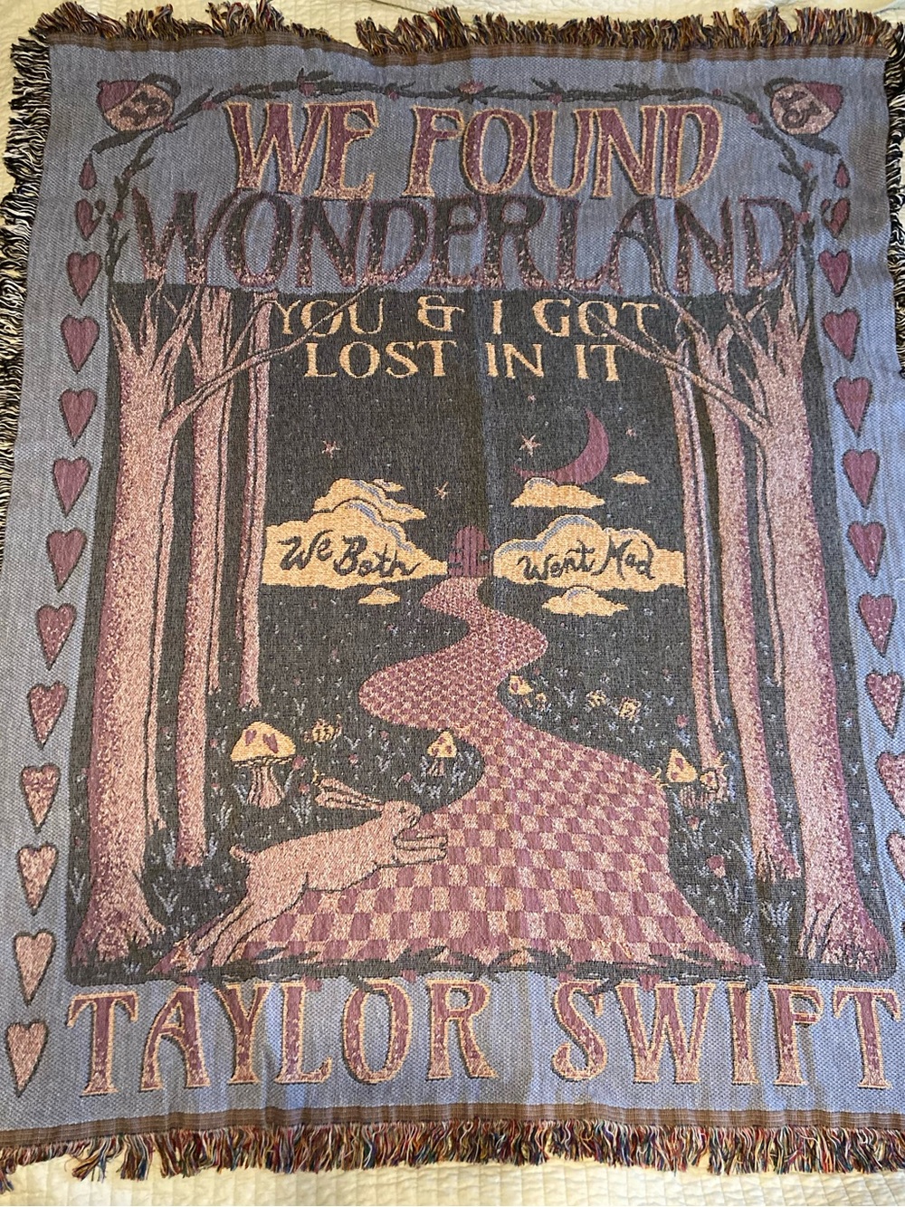 Taylor Swift Wonderland Blanket